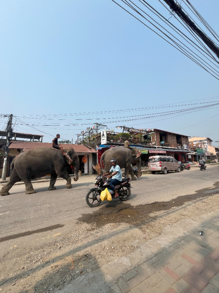 ネパール研修旅行