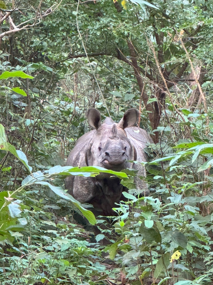 ネパール研修旅行